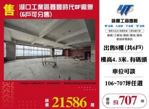 湖口工業區鑫豐時代8F廠辦(6戶可分售)155
