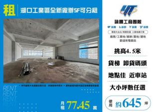 湖口工業區全新廠辦5F可分租-155