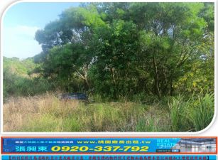 觀音上大好市多旁甲建