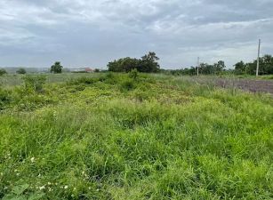 大樹水寮國小旁2.29分農地|有臨路|