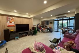 竹東全新裝璜美透天