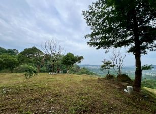 橫山海洋之星景觀美地
