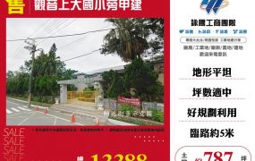 觀音上大國小旁甲建