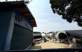 新屋收租資材室農地 桃園房地女王