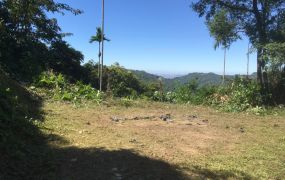 太平近市區便宜景觀俗農地