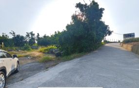 大樹近水管路2.52分農地|大車可進出|