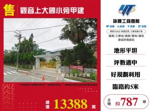 觀音上大國小旁甲建