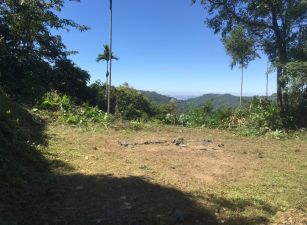 太平近市區便宜景觀俗農地