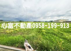 台南新吉工業區旁農地(價格甜甜)