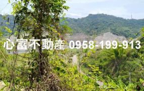 田寮農保專用地~超划算!!