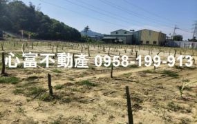 大社民族路超值農地(近國道10)此區多塊可選