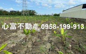 岡山超值特農地(近省道台19甲)