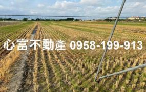 橋頭超值特農地(近高雄大學)