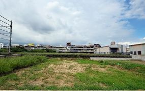 大寮江山路都內農地