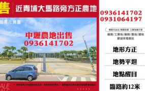 中壢農地出售-近青埔大馬路旁方正農地