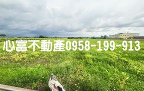 台南新吉工業區旁農地(價格甜甜)