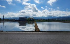 永慶許書豪★三星頂義雙面路配建農地