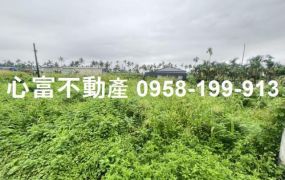 麟洛優質都內農地惜售~附水電