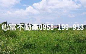 歸仁7千坪稀有農地(每坪一萬五有找