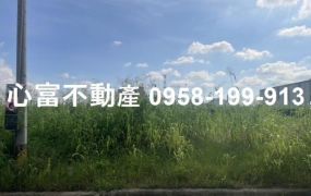 大寮江山路農地超划算(近高屏橋)