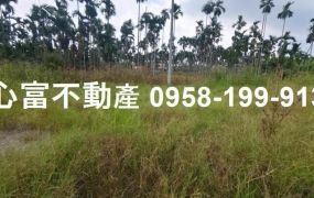 屏東長治休閒農地近市區~面寬漂亮