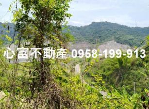 田寮農保專用地~超划算!!