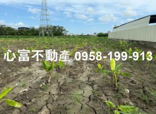 岡山超值特農地(近省道台19甲)