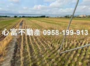 橋頭超值特農地(近高雄大學)