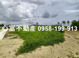 推~岡山台上超俗都內農地(近竹圍生活圈)