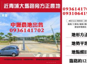 中壢農地出售-近青埔大馬路旁方正農地