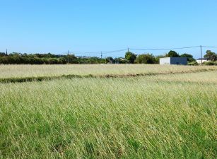 新屋雙面臨路大坪數農地