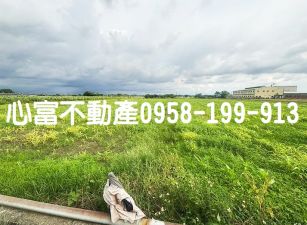 台南新吉工業區旁農地(價格甜甜)