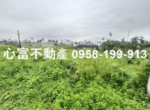 麟洛優質都內農地惜售~附水電