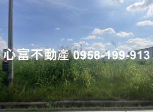 大寮江山路農地超划算(近高屏橋)