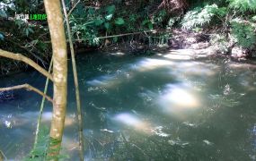 新竹縣竹東鎮｜柯子湖｜臨路｜平坦農地｜1099坪｜售價2420萬