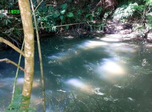 新竹縣竹東鎮｜柯子湖｜臨路｜平坦農地｜1099坪｜售價2420萬