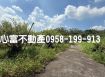 燕巢大路邊大坪數乙建+農地