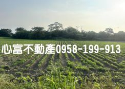 歸仁近永康優質農地(低投資高報酬)