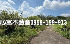 燕巢大路邊大坪數乙建+農地