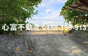 專約!!阿蓮千平方正魚塭地(近國道1)