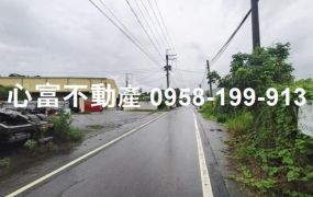 大樹近台29線方正漂亮農地