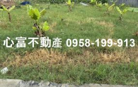 岡山大埔增值農地