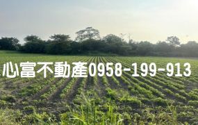 歸仁近永康優質農地(低投資高報酬)