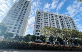 獨家專售｜宏普有逸天「別具匠心｜四米二日系舒適美房」