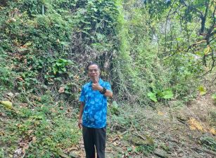 專任霧峰近桐林國小南坑段林地台中買屋賣房土地王劉志忠