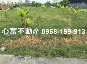 岡山大埔增值農地