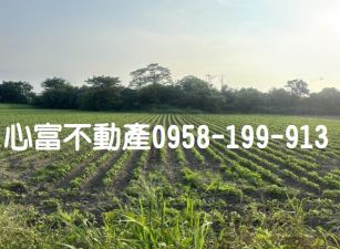 歸仁近永康優質農地(低投資高報酬)