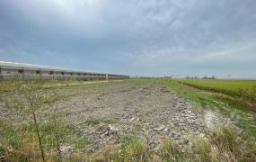 太保後潭農地08-046