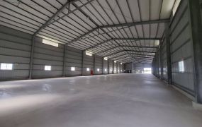 琪琪🐝推~大園西濱挑高鋼構廠