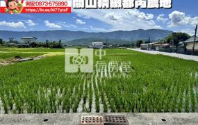 台東房地產 / 關山精緻都內農地